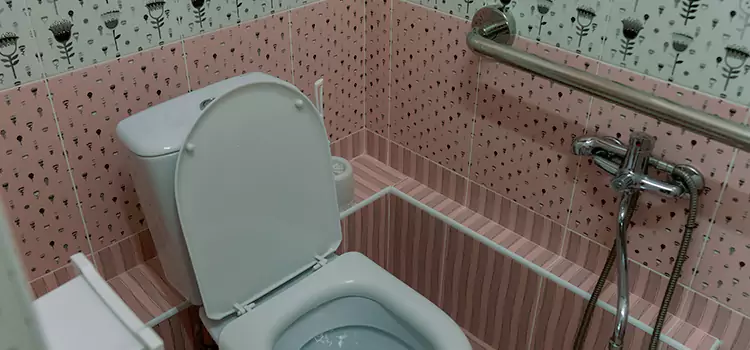 Meeting Diverse Needs With Accessible Restroom Solutions in Whitehorse, YT