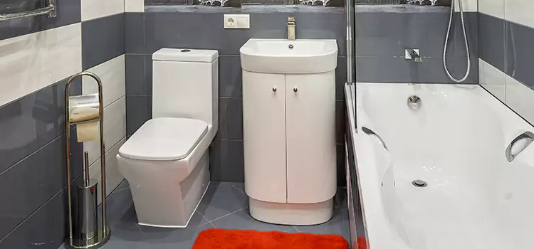 Hansgrohe Shaving Mirror Whitehorse